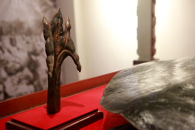 Ngắm tiêu bản cụ rùa Hồ Gươm được "bảo vệ" trong tủ kính bạc tỷ - 10