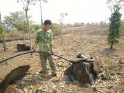 Tin tức trong ngày - Những giếng nước đắt đỏ ở Đắk Nông: Chi nửa tỷ đồng tìm nguồn nước