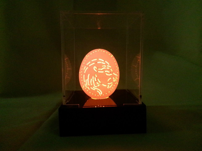 Mỗi vỏ quả trứng ngỗng để trong hộp gắn đèn led chị bán với giá khoảng 300.000 đồng/sản phẩm.