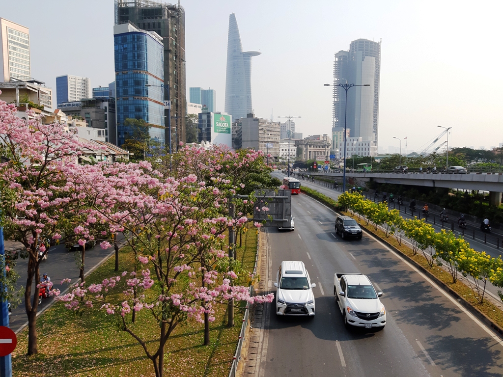 Không ngờ giữa Sài Gòn lại có “thiên đường” hoa kèn hồng đẹp như thế này - 2