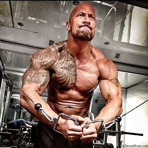 “Người hùng” The Rock ăn 5 kg thịt/ngày, đeo xích sắt để có thân hình khủng long - 7