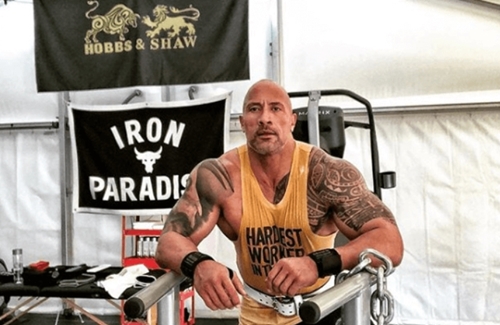 “Người hùng” The Rock ăn 5 kg thịt/ngày, đeo xích sắt để có thân hình khủng long - 8