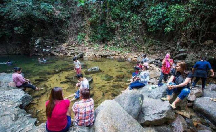 Dòng suối kỳ lạ ở Thái Lan, cá bơi cả đàn bên dưới nhưng không ai dám bắt - 2