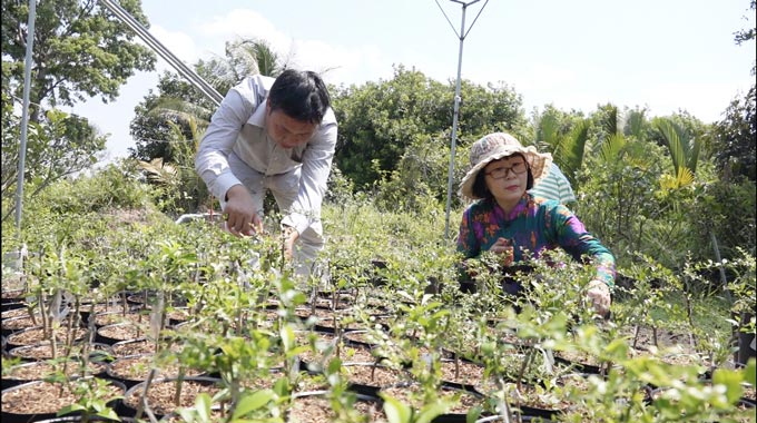 Chuyện lạ: Trái chanh dài như ngón tay, bên trong có hàng trăm... trứng cá tầm - 2