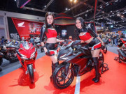 Thế giới xe - 2019 Honda CBR250RR đẹp mê ly, gây sốt dân tập chơi