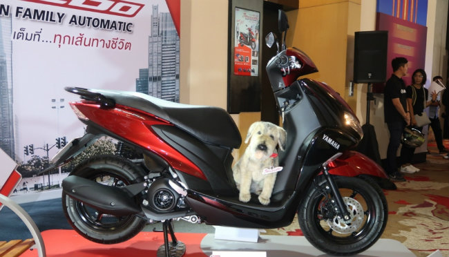 2019 Yamaha FreeGo có khả năng cạnh tranh với Honda Air Blade 125 có bán tại thị trường Việt Nam.