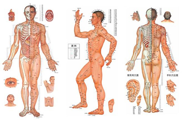 Châm cứu là gì? Tác dụng của châm cứu chữa bệnh không thể bỏ qua - 1