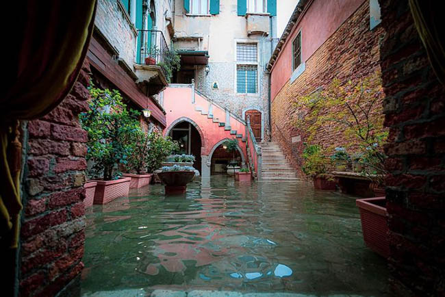 1. Ngày 21.12.2019, ngay sau khi nhận tin Venice ngập lụt, nhiếp ảnh gia người Ý Natalia Elena Massi đã khăn gói hành lý đến nơi này để khám phá thành phố nổi tiếng mộng mơ bây giờ như thế nào.
