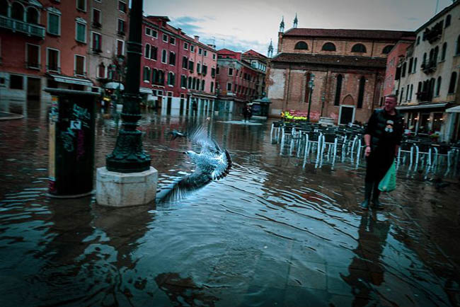 15. Quảng trường San Marco nổi tiếng hiện cũng phải đóng cửa do mực nước dâng lên quá cao.
