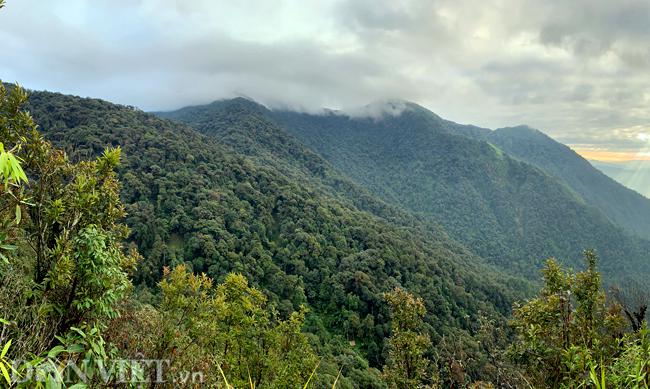 Đình núi Pờ Ma Lung cao gần 3000 m.