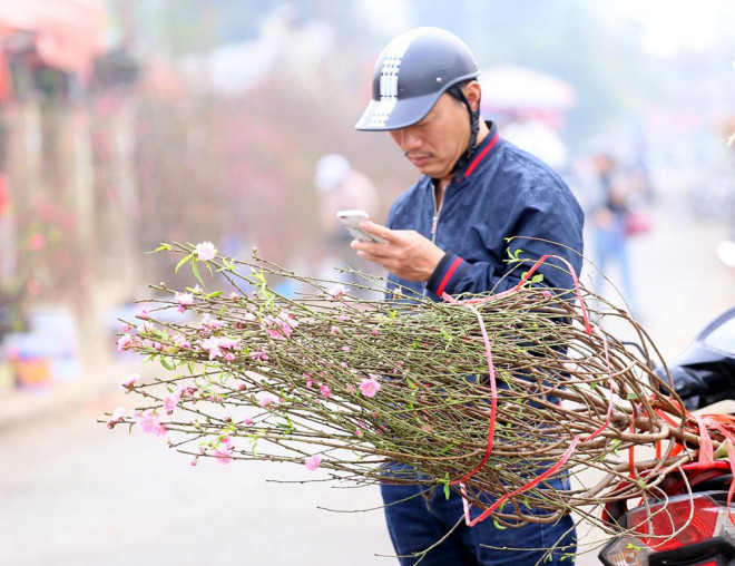 "Tôi mua cành này giá 350.000 đồng về cắm, năm nào dịp trước Tết, gia đình tôi cũng mua một vài cành với hi vọng sẽ được thưởng thức không khí sớm", nam khách hàng cho hay.