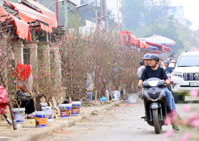 Bởi người dân Thủ đô đã và đang cảm nhận Tết đang cận kề.