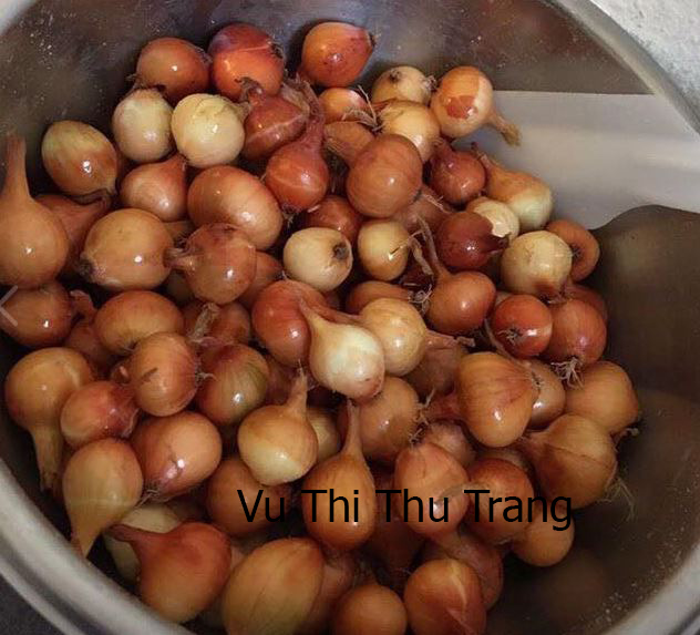 Hành muối chua kiểu truyền thống không váng nhớt chỉ cần thêm 1 bước cực đơn giản này - 3