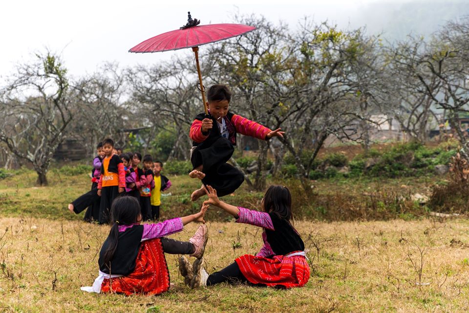 Trồng nụ trồng hoa