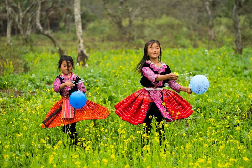 Bình dị mùa hoa cải