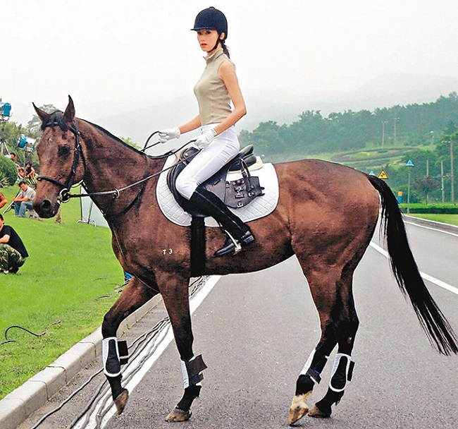 Trong một lần quay quảng cáo tại Trung Quốc, siêu mẫu Đài Loan Lâm Chí Linh không may bị ngã ngựa, dẫn đến gãy sáu xương sườn.