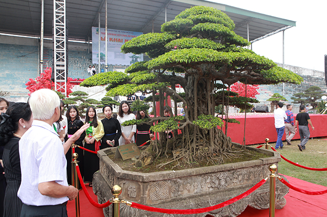 Tác phẩm “Thụ lâm bồng thạch” vừa đoạt giải vàng tại Festival sản phẩm Nông nghiệp và làng nghề Hà Nội – lần thứ&nbsp;nhất 2019.