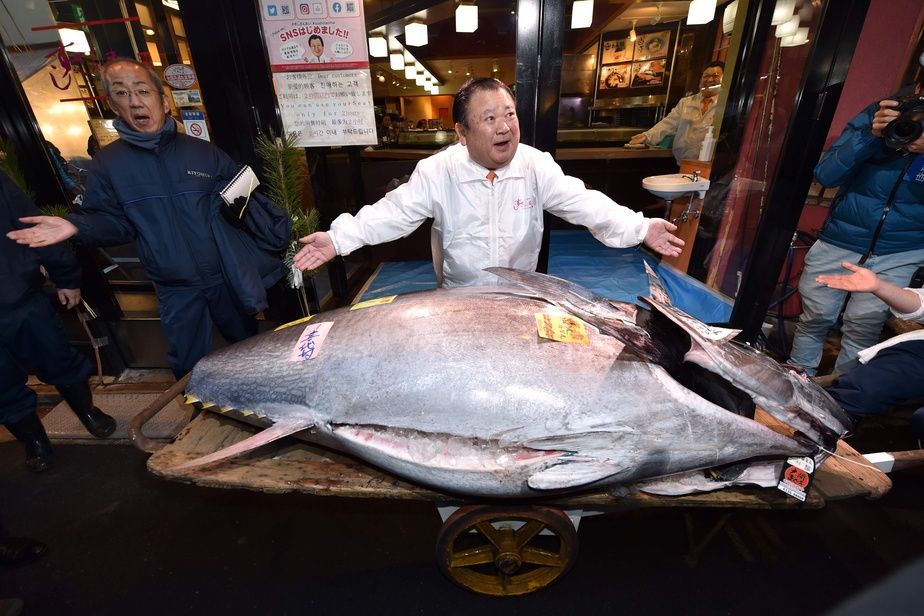 Một con cá ngừ vây xanh được ông&nbsp;Kiyoshi Kimura (người mặc áo trắng)&nbsp;mua lại&nbsp;với giá 193,2 triệu yên (Ảnh: New Straits Times)