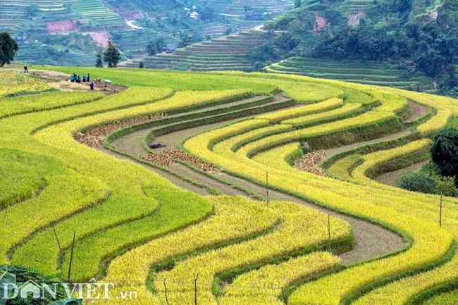 Bất kể góc độ nào, bạn cũng có thể ghi lại cho mình những hình ảnh đầy ấn tượng.