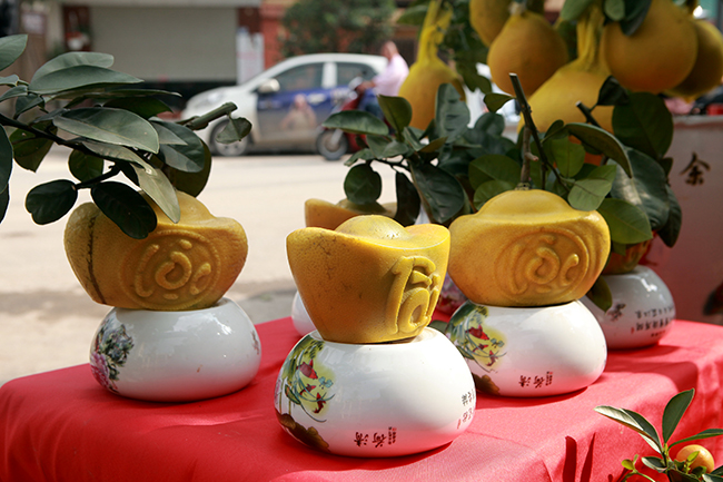 Bưởi hình thỏi vàng in chữ Tài - Lộc lần đầu tiên xuất hiện ở làng Tứ Liên (Tây Hồ, Hà Nội) khiến người dân thích thú bởi sự độc đáo, lạ mắt.