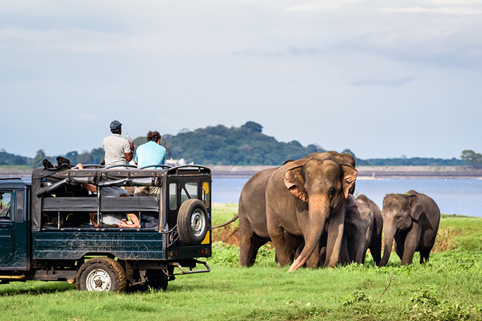 Nhìn cảnh đẹp thế này, đừng để bản thân phải nuối tiếc không đến Sri Lanka một lần trong đời - 4