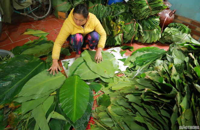 Để làm được một chiếc bánh chưng hoàn chỉnh phải cần tới 5-6 tàu lá. Vì vậy, số lượng lá dong mỗi cơ sở nhập về rất lớn.