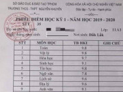 Giáo dục - du học - Choáng toàn tập với bảng điểm “siêu nhân” toàn điểm 9,10 của nữ sinh lớp 11