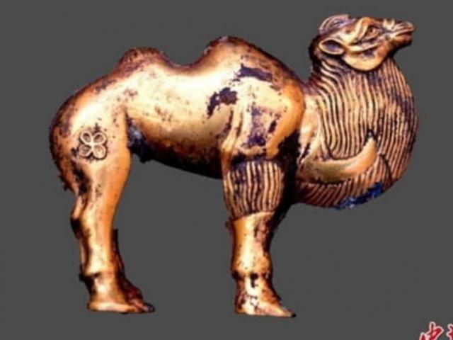 Ngắm lạc đà vàng cùng nhiều báu vật mới được tìm thấy tại khu lăng mộ Tần Thủy Hoàng