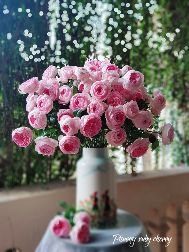 Chị Phương thường xuyên dùng hoa hồng ngoại để trang trí cho ngôi nhà của mình
