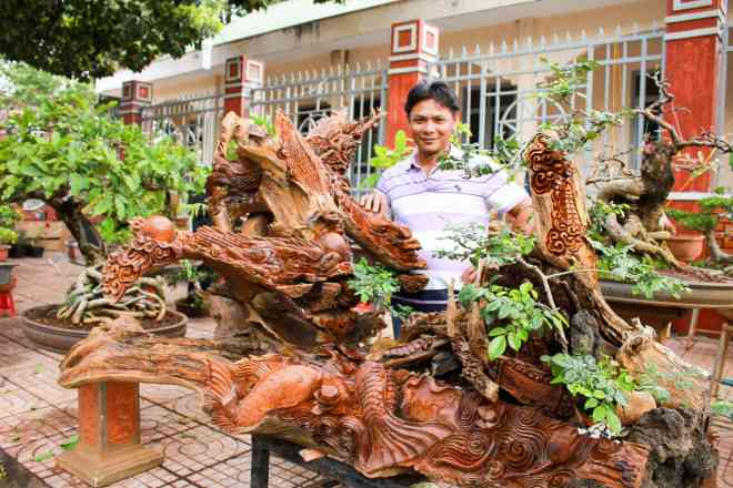 Chậu bon sai trắc dây nguyên khối được anh Tuấn cất công mua về từ Ninh Thuận&nbsp;