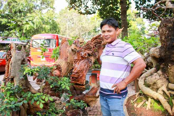 Trong năm, anh cùng vợ săn lùng các chậu cây nhiều tuổi ở Đắk Lắk mang về giữ gốc, cắt ngọn và tạo các dáng, thế mới. Anh cho biết, cây bán quanh năm nhưng Tết là lúc anh tung ra thị trường các chậu cây “đinh” nhất: “Mùa Tết tôi bán không nhiều nhưng khách chơi hiểu về bon sai sẽ chịu chi số tiền lớn” .