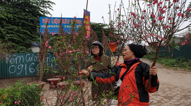 Người dân hối hả sắm cây kiểng tại phố Lê Văn Lương (thuộc quận Hà Đông, Hà Nội)