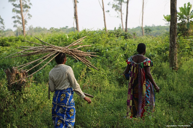 GDP bình quân đầu người&nbsp;năm 2018 của Cộng hòa Dân chủ Congo&nbsp;là 560 USD, cao hơn 98 USD so với năm 2017.&nbsp;