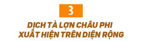 9,94 tỷ USD và những dấu ấn kinh tế khó quên trong năm qua - 21