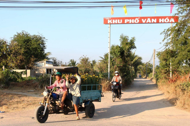 Chiêm ngưỡng cánh đồng cúc vàng đẹp mê mải chờ đón Tết ở Ninh Thuận - 12