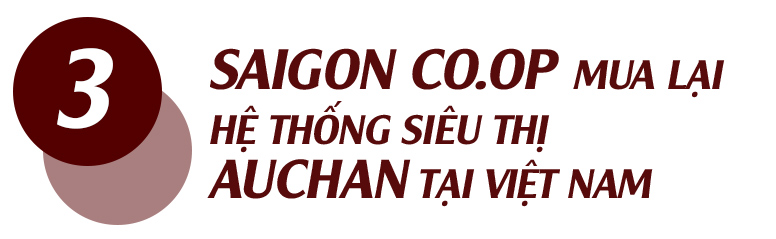 Tỷ phú Phạm Nhật Vượng “chơi lớn” với thương vụ tỷ đô - 6