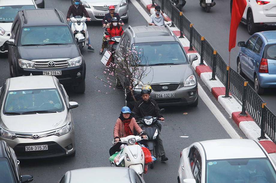 Những cành đào “kẹt” giữa làn ô tô trên đường Nguyễn Lương Bằng.