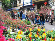 Chợ hoa Tết và thú chơi hoa