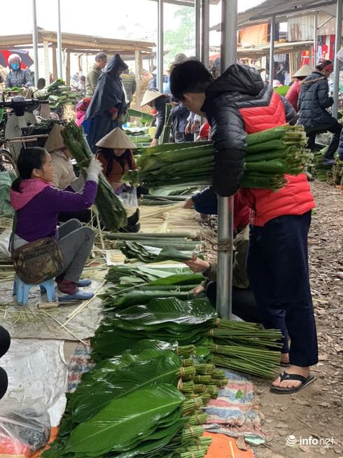 Lá dong năm nay đẹp và có giá từ 100.000 tới 130.000 cho 100 lá.