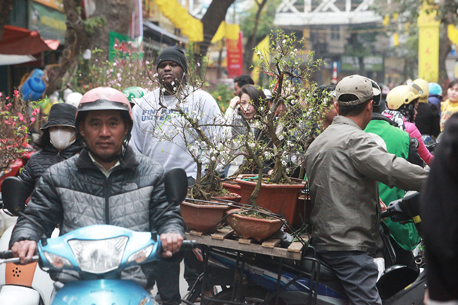 Chợ ngày nay có rất nhiều loại hoa