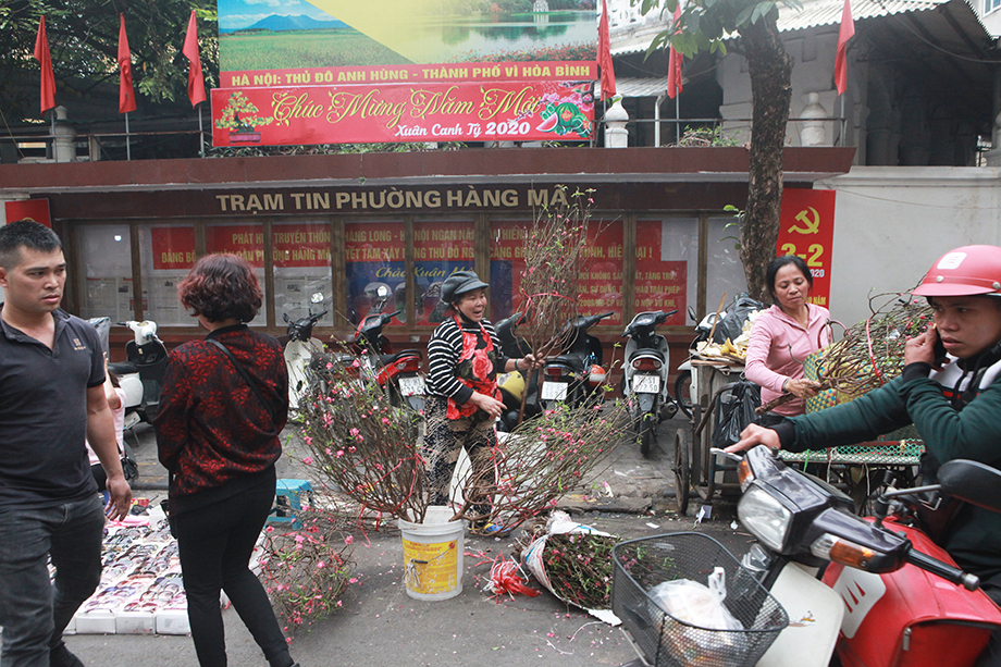 Chợ hoa Hàng Lược thường họp kéo dài suốt từ sáng sớm cho tới tận đêm khuya.Thậm chí sát lúc Giao thừa chợ mới tan