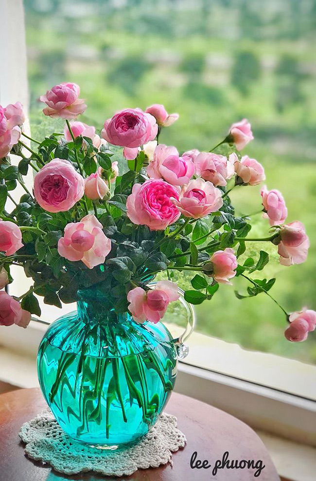 Hoa hồng có thể chơi được trong vòng 7 ngày và lưu lại mùi hương thơm dịu trong căn nhà của bạn