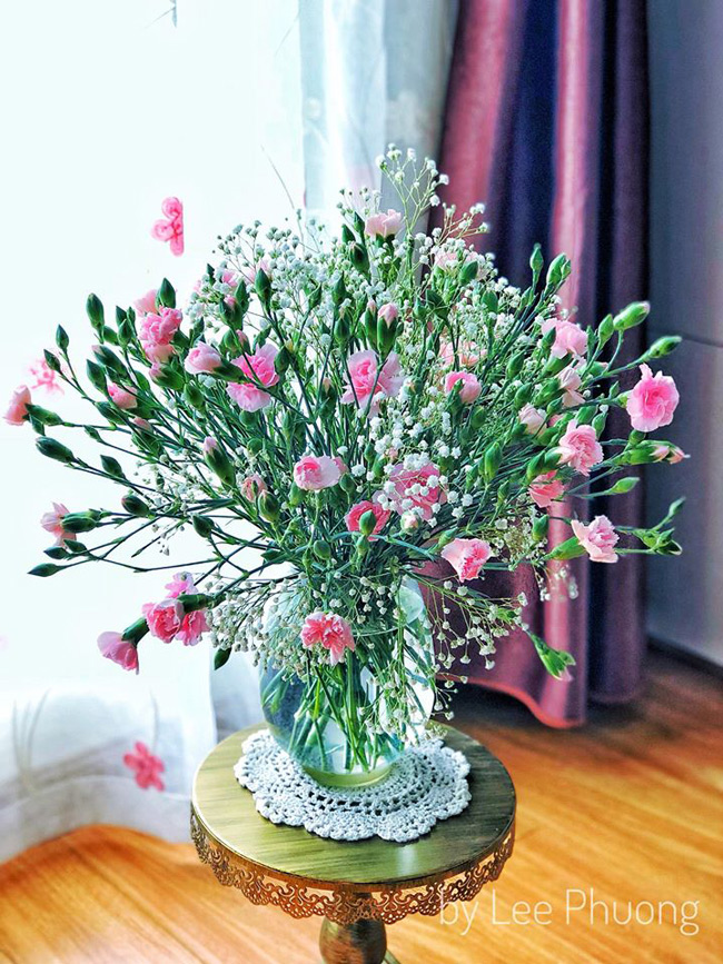Điểm xuyết vẻ đẹp của cẩm chướng là những bông hoa baby