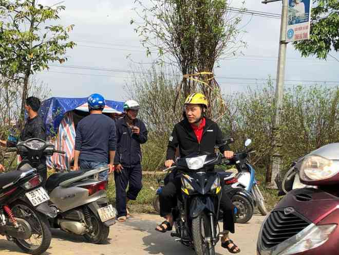 Tại Hà Tĩnh, đào vườn được bày bán phổ biến và được người dân khá ưa chuộng. Giá mỗi cây đào dao động từ 500.000 đến 4 triệu đồng/cây.