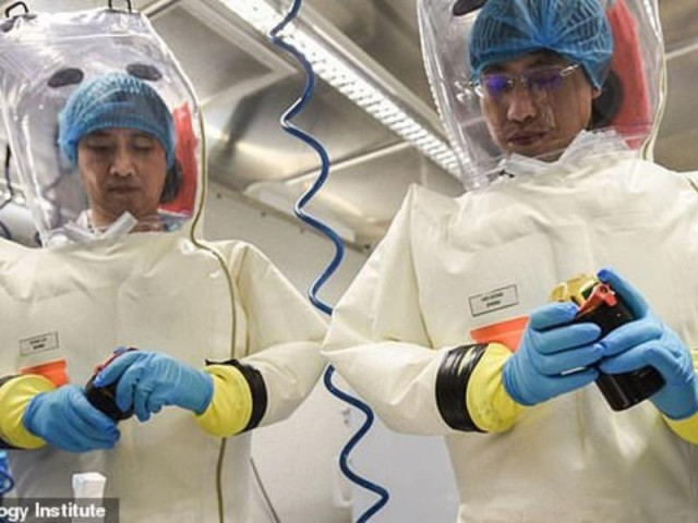 Virus corona phát tán từ phòng thí nghiệm ở Vũ Hán?