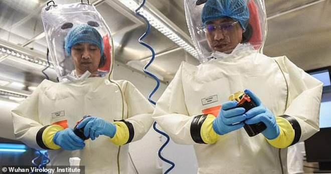 Các nhà khoa học làm việc tại phòng thí nghiệm cao cấp nghiên cứu virus ở Vũ Hán. Ảnh: DAILY MAIL
