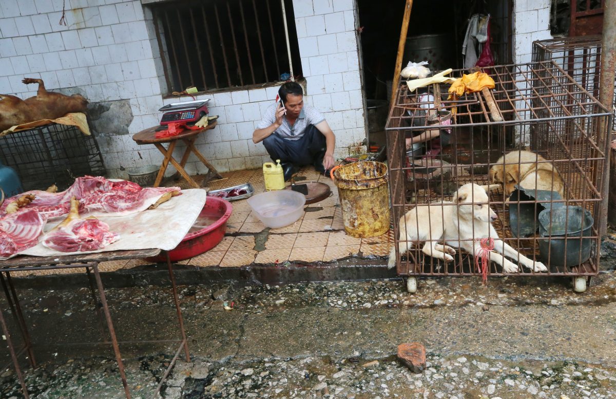 Một số hình ảnh bên trong chợ Huanan trước khi bị đóng cửa (ảnh: Reuters)