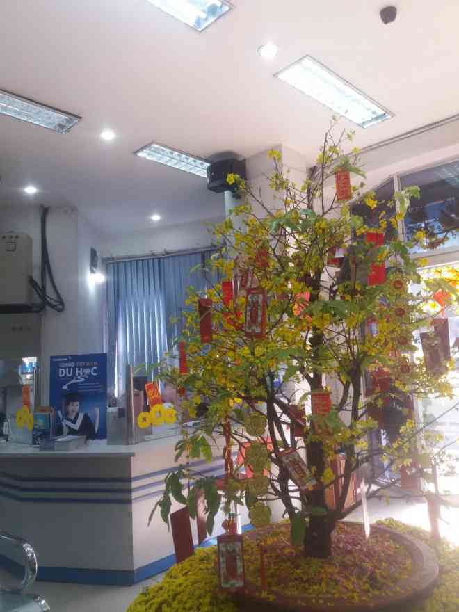Bao lì xì được treo tại Eximbank&nbsp;chi nhánh Tân Sơn Nhất. Ảnh: Thy Thơ