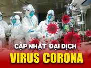 Tin tức trong ngày - Đại dịch virus Corona 31/1: Hơn 9.000 người nhiễm tại TQ, WHO ban bố tình trạng khẩn cấp