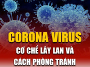 Tin tức trong ngày - Cơ chế lây lan và cách phòng tránh dịch bệnh virus Corona